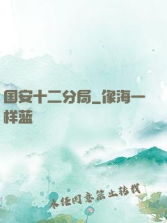 国安十二分局