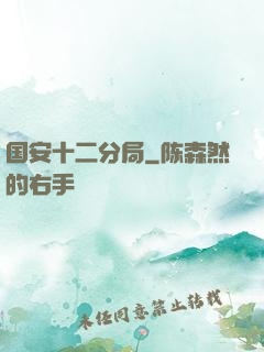 国安十二分局