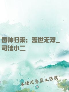 国帅归来：盖世无双