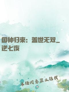 国帅归来：盖世无双