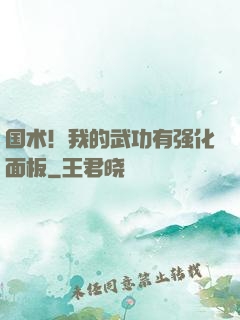 国术！我的武功有强化面板