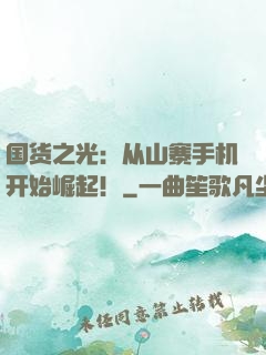国货之光：从山寨手机开始崛起！