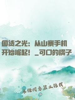国货之光：从山寨手机开始崛起！