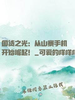 国货之光：从山寨手机开始崛起！