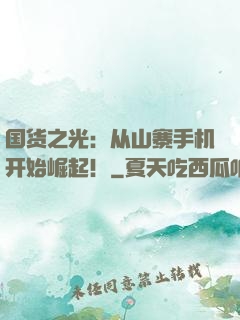 国货之光：从山寨手机开始崛起！