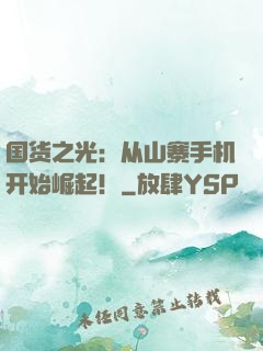 国货之光：从山寨手机开始崛起！