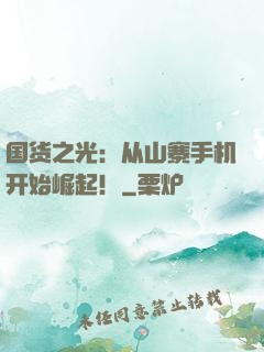 国货之光：从山寨手机开始崛起！