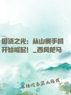 国货之光：从山寨手机开始崛起！