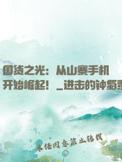 国货之光：从山寨手机开始崛起！