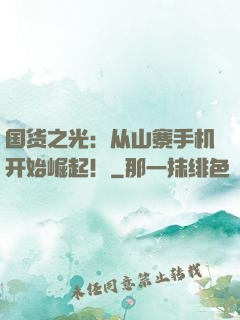国货之光：从山寨手机开始崛起！