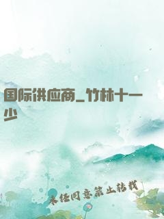 国际供应商