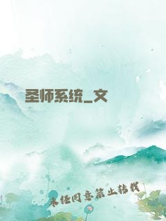 圣师系统