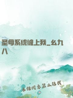 圣母系统缠上我