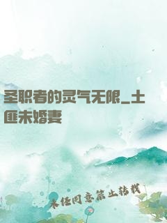 圣职者的灵气无限