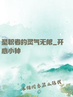 圣职者的灵气无限