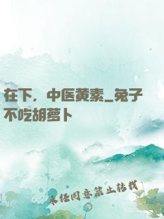在下，中医黄素