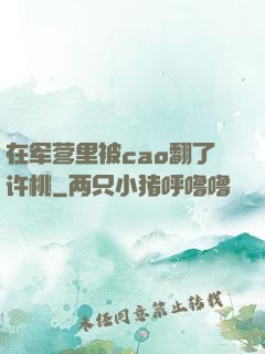 在军营里被cao翻了许桃