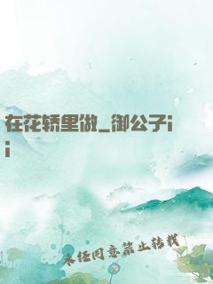 在花轿里做