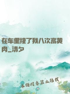 在车里撞了我八次高黄肉