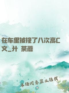 在车里被撞了八次高C文