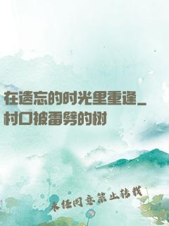 在遗忘的时光里重逢