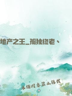 地产之王