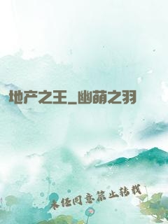 地产之王