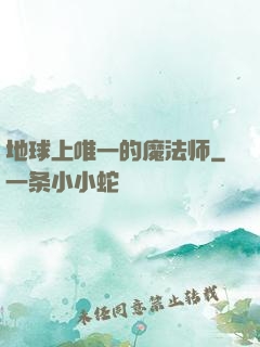 地球上唯一的魔法师