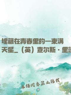 埋藏在青春里的一束满天星