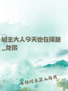 城主大人今天也在摸鱼