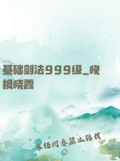 基础剑法999级