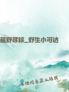 墓野寻踪