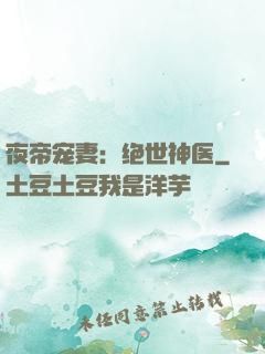 夜帝宠妻：绝世神医