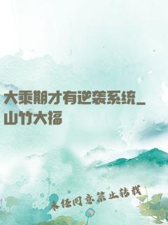 大乘期才有逆袭系统