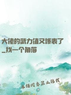 大佬的武力值又爆表了
