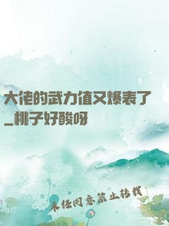 大佬的武力值又爆表了