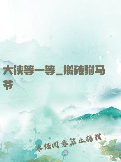 大侠等一等