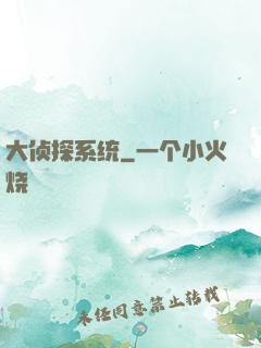大侦探系统