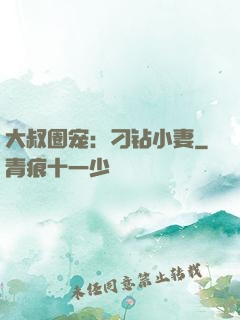 大叔圈宠：刁钻小妻