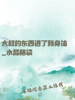 大叔的东西进了我身体