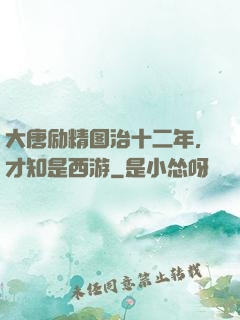 大唐励精图治十二年，才知是西游