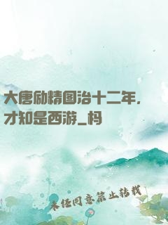 大唐励精图治十二年，才知是西游