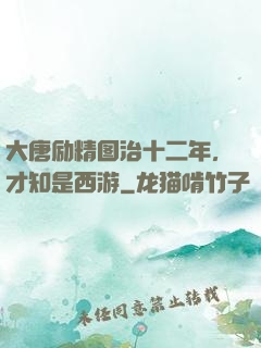 大唐励精图治十二年，才知是西游