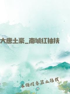 大唐土豪