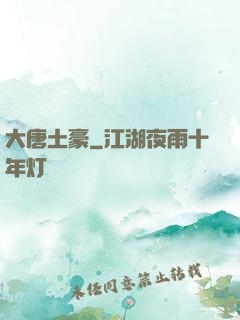 大唐土豪