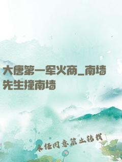 大唐第一军火商
