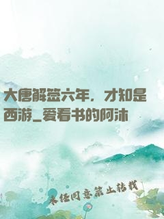 大唐解签六年，才知是西游