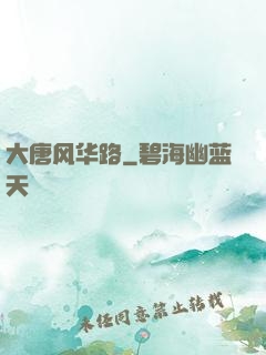 大唐风华路