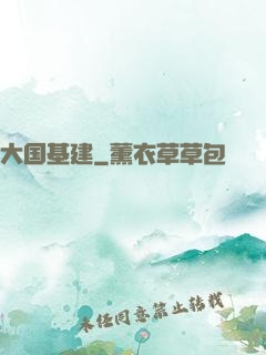 大国基建