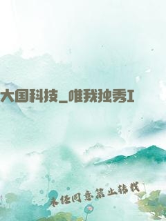 大国科技